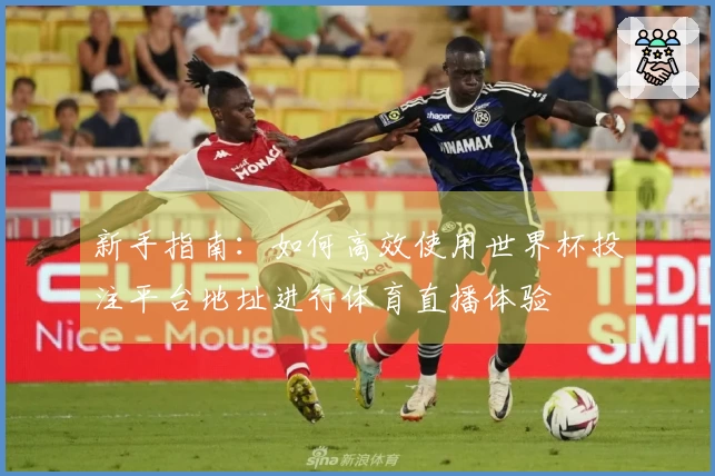 新手指南：如何高效使用世界杯投注平台地址进行体育直播体验