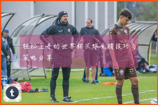 轻松上手的世界杯买球竞猜技巧与策略分享