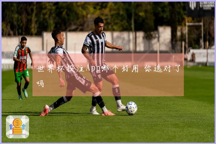 世界杯投注App哪个好用 你选对了吗