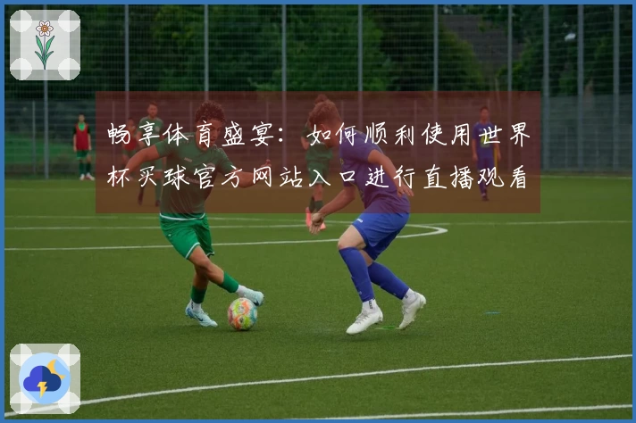 畅享体育盛宴：如何顺利使用世界杯买球官方网站入口进行直播观看