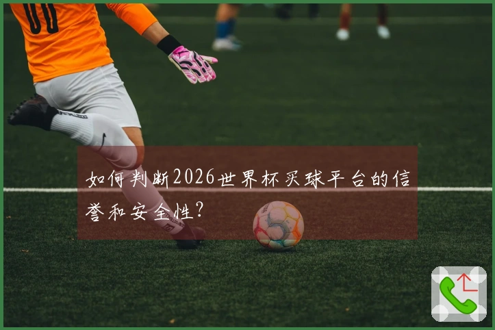 如何判断2026世界杯买球平台的信誉和安全性？