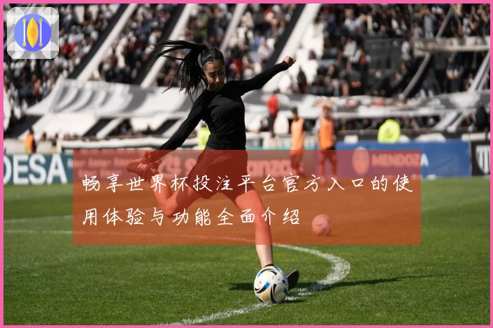 畅享世界杯投注平台官方入口的使用体验与功能全面介绍