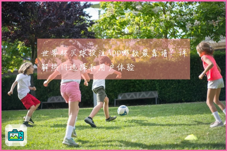 世界杯买球投注App哪款最靠谱？详解热门选择和用户体验