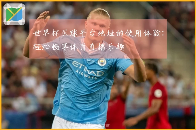 世界杯买球平台地址的使用体验：轻松畅享体育直播乐趣