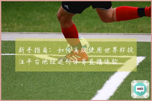 新手指南：如何高效使用世界杯投注平台地址进行体育直播体验