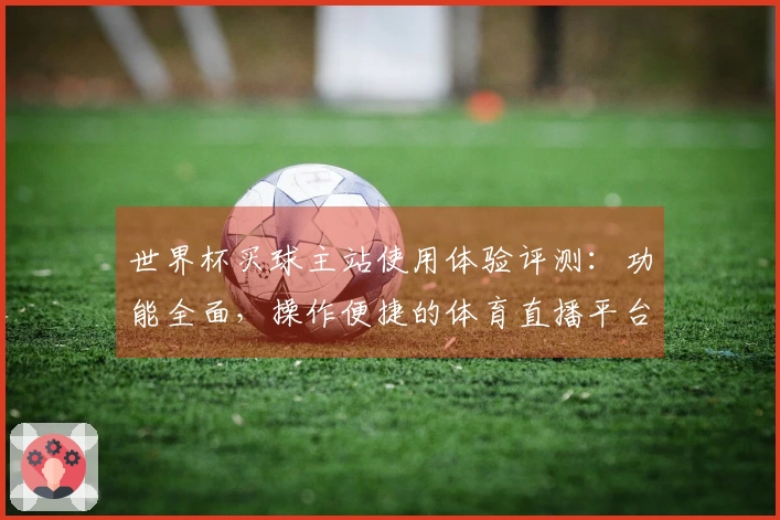 世界杯买球主站使用体验评测：功能全面，操作便捷的体育直播平台选择