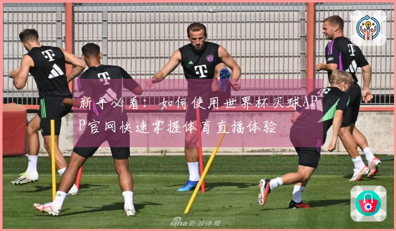 新手必看:如何使用世界杯买球APP官网快速掌握体育直播体验