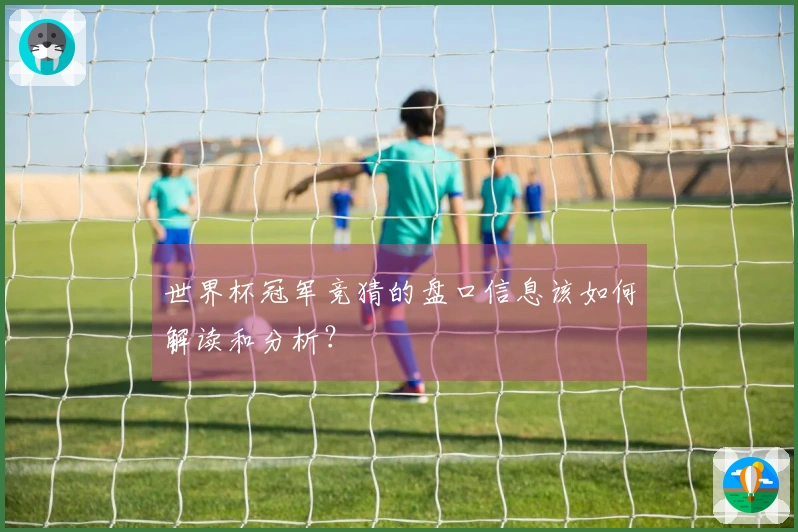 世界杯冠军竞猜的盘口信息该如何解读和分析?