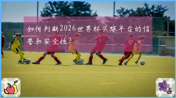 如何判断2026世界杯买球平台的信誉和安全性？