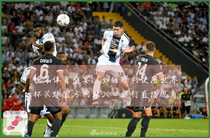 畅享体育盛宴：如何顺利使用世界杯买球官方网站入口进行直播观看
